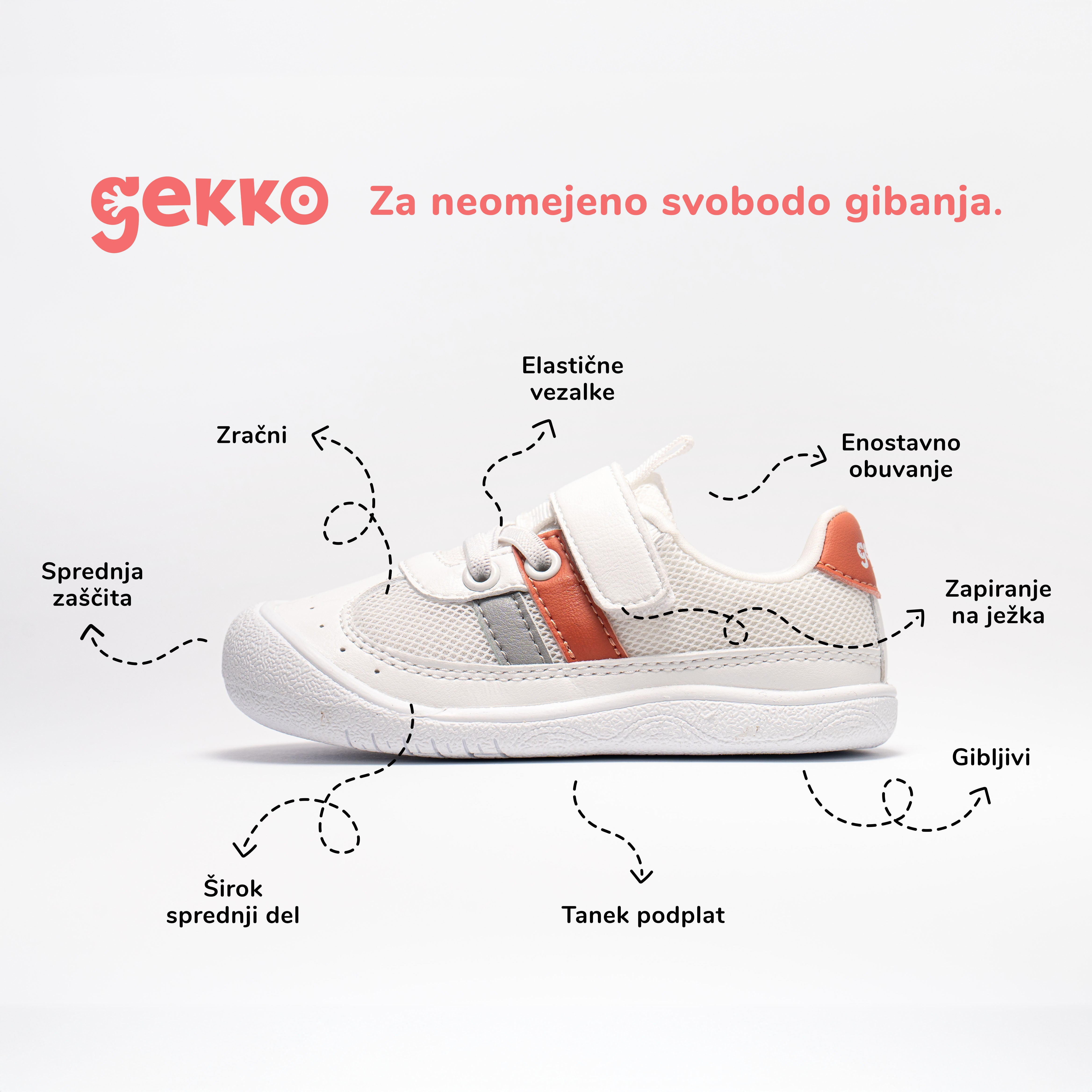 Gekko