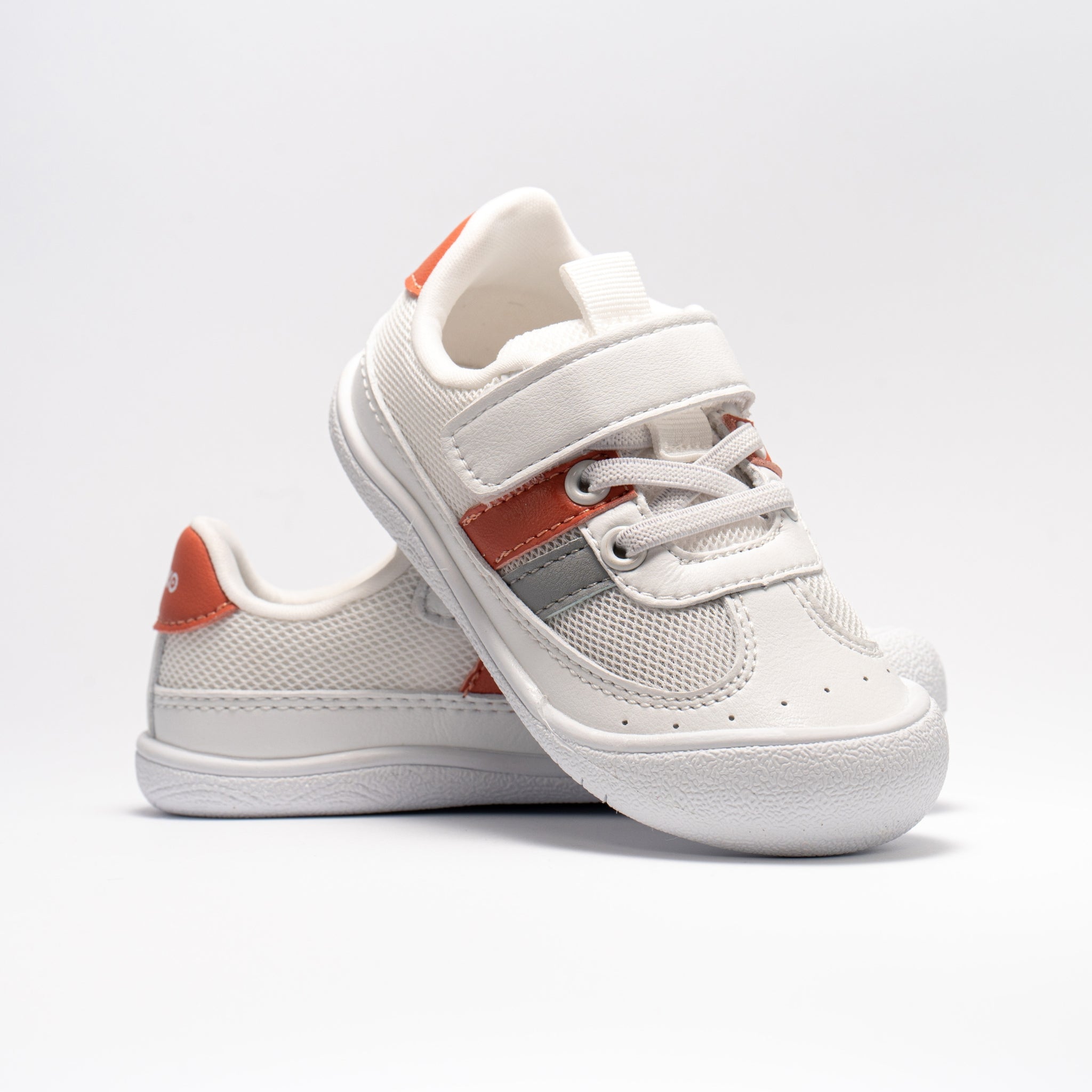Gekko Breeze Coral