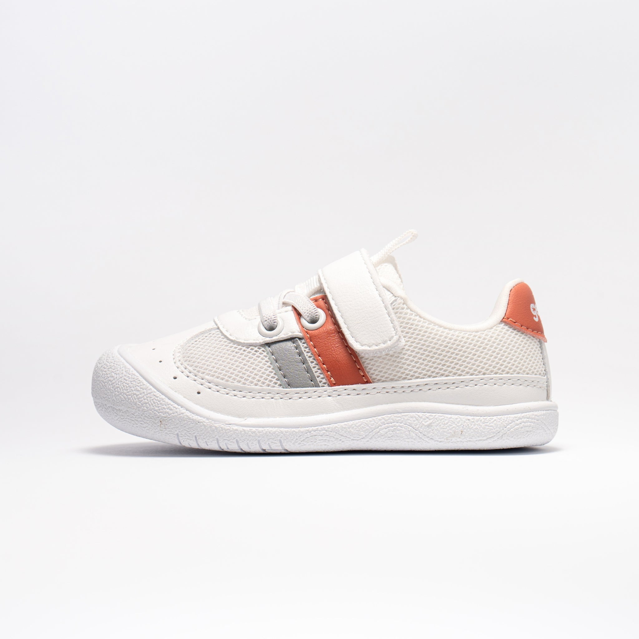 Gekko Breeze Coral