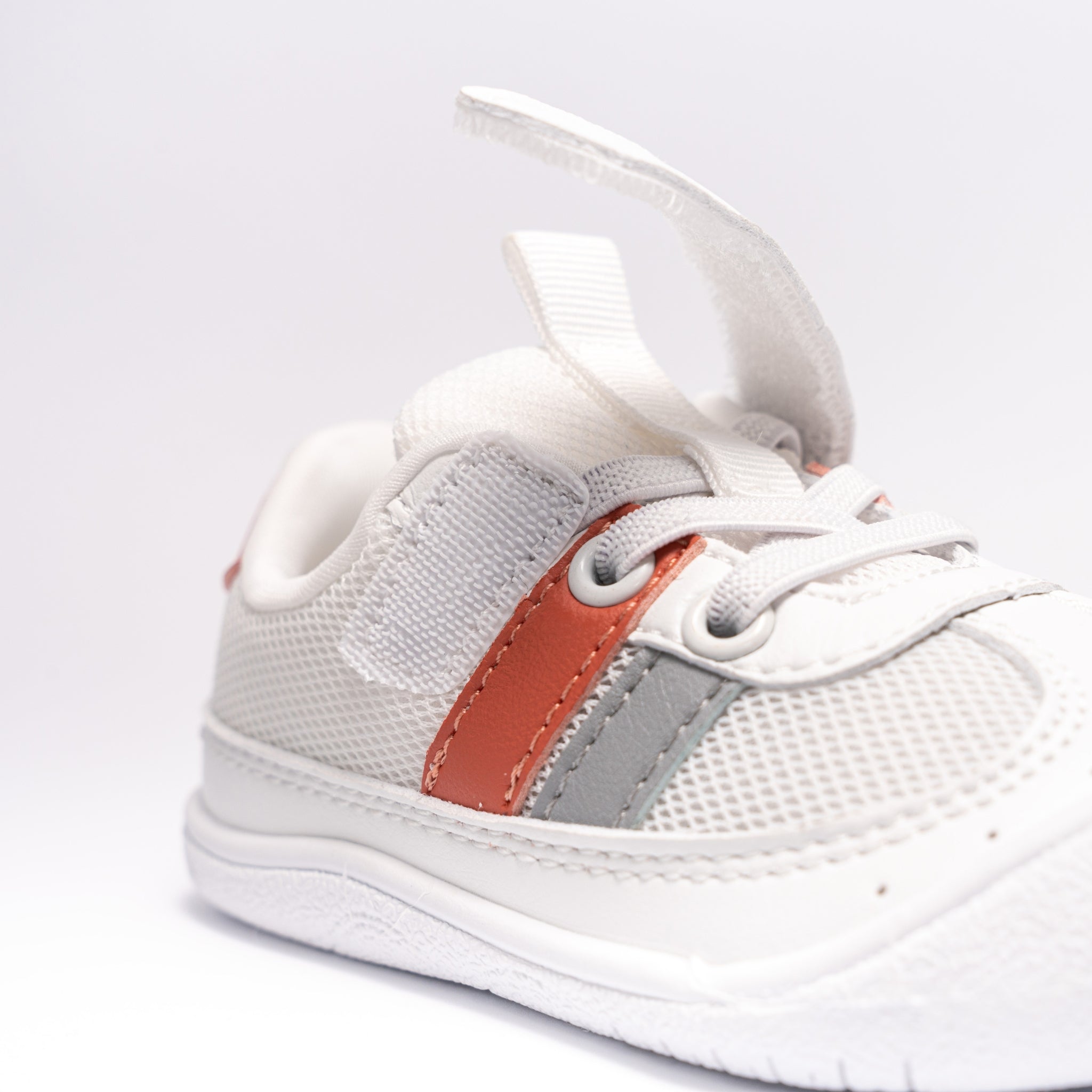 Gekko Breeze Coral